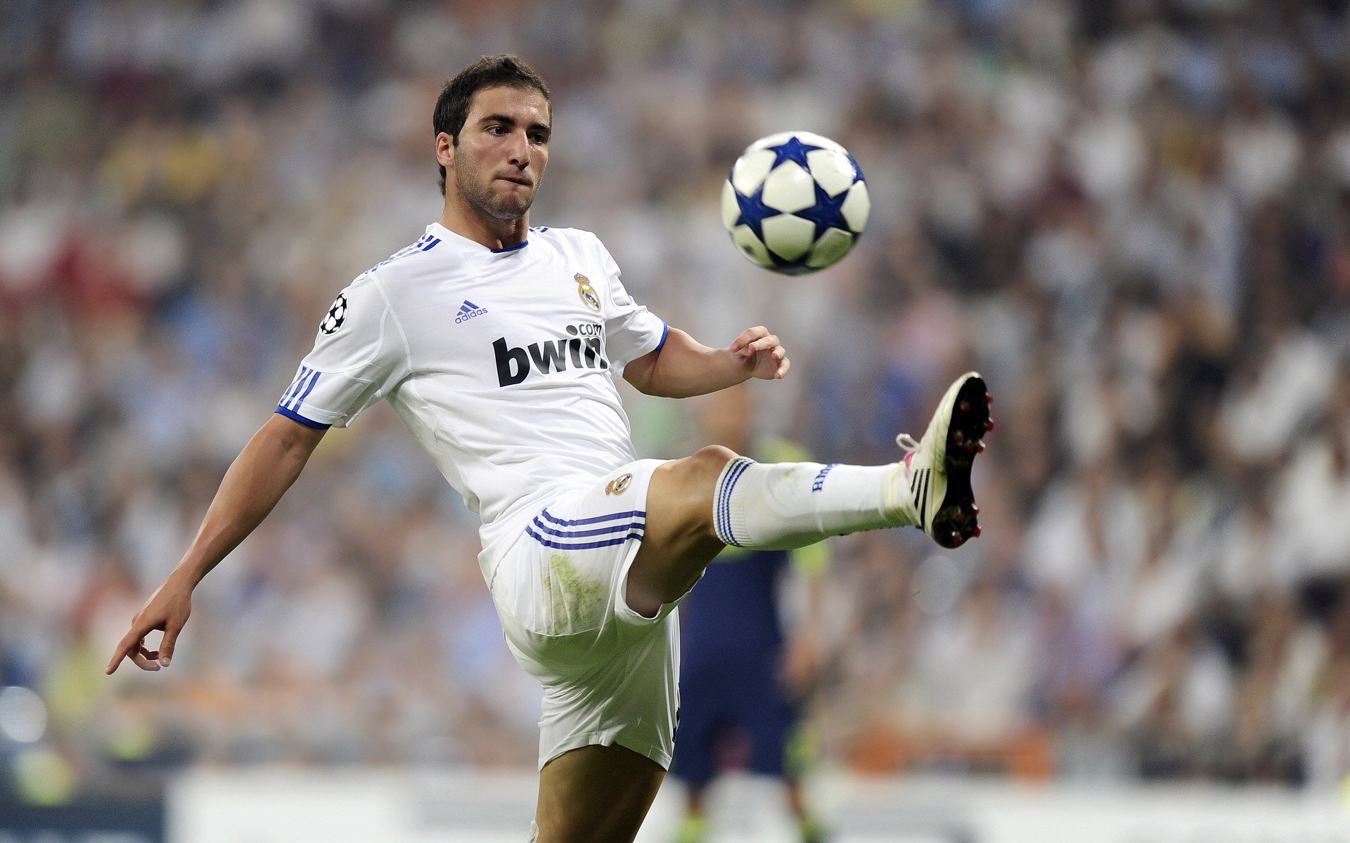 美加墨世界杯之夜,李刚仁,在风暴眼中稳定输出